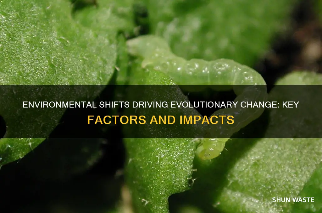 what are the changes in environment that cause evolution