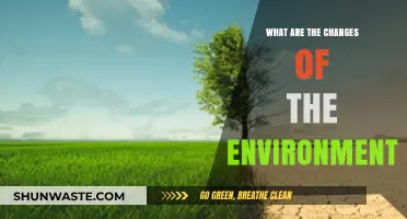 Environmental Shifts: Understanding the Transformations in Our Changing World