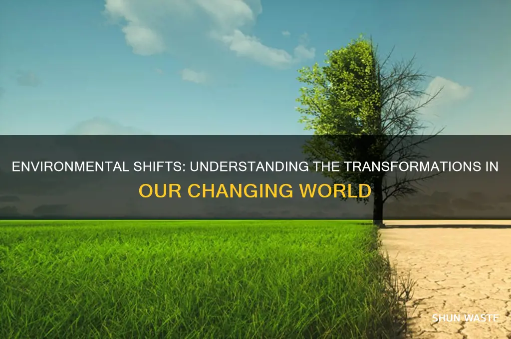 what are the changes of the environment