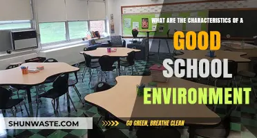 Fostering Excellence: Key Traits of an Ideal School Environment