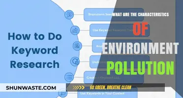 Environmental Pollution: Key Traits and Their Impact