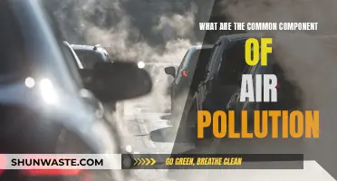 Air Pollution: Understanding the Common Components