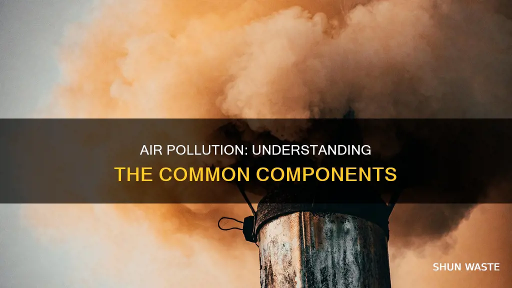 what are the common component of air pollution