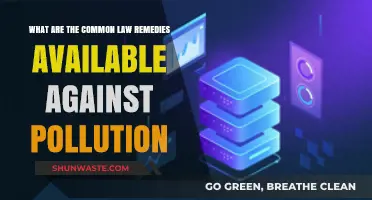 Seeking Legal Recourse: Environmental Pollution and Common Law