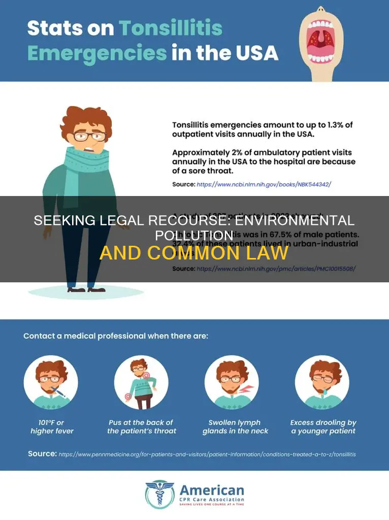 what are the common law remedies available against pollution