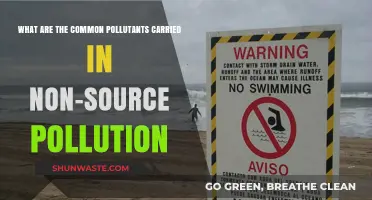 Understanding Non-Point Source Pollution and Its Harmful Effects