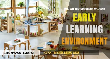 Creating Ideal Early Learning Environments: Key Components for Child Development
