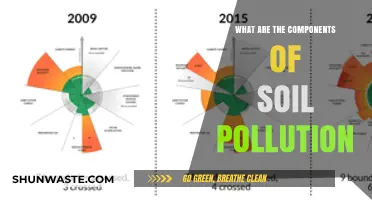 Soil Pollution: Understanding the Components and Their Impact