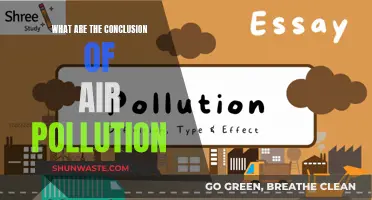 Air Pollution's Damaging Effects on Our Planet and Health