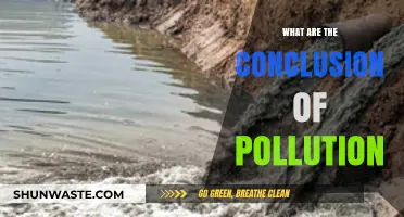 Pollution's Impact: A World in Danger
