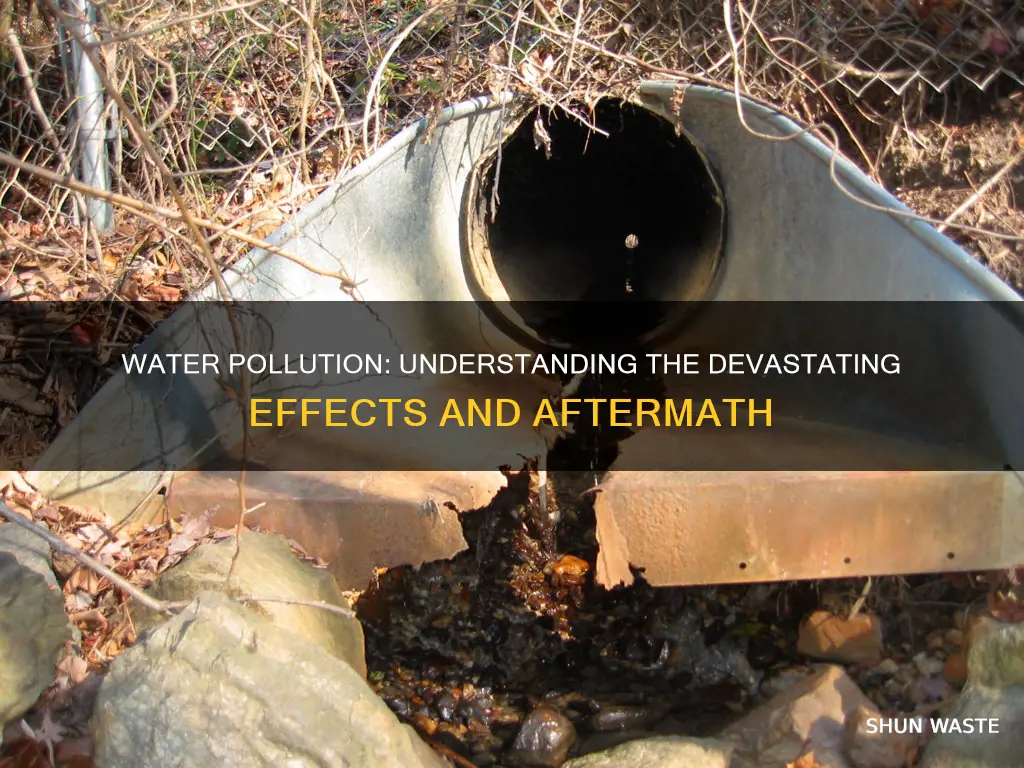 what are the conclusion of water pollution