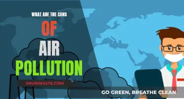 Air Pollution: The Dark Side Revealed