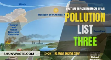Air Pollution: Deadly Impact and Our Future