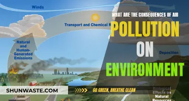 Air Pollution's Environmental Impact: Understanding the Consequences