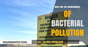 Bacterial Pollution: Understanding Its Devastating Impact