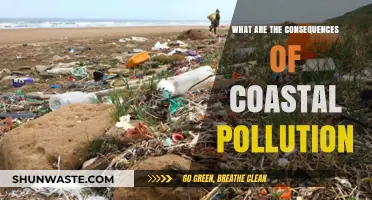 The Devastating Impact of Coastal Pollution