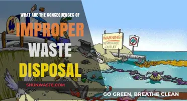 The Hidden Dangers of Improper Waste Disposal: A Comprehensive Guide