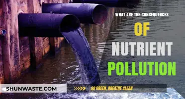Nutrient Pollution: Understanding Its Devastating Impact on Nature