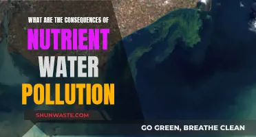 Nutrient Pollution: Unveiling Environmental and Health Consequences