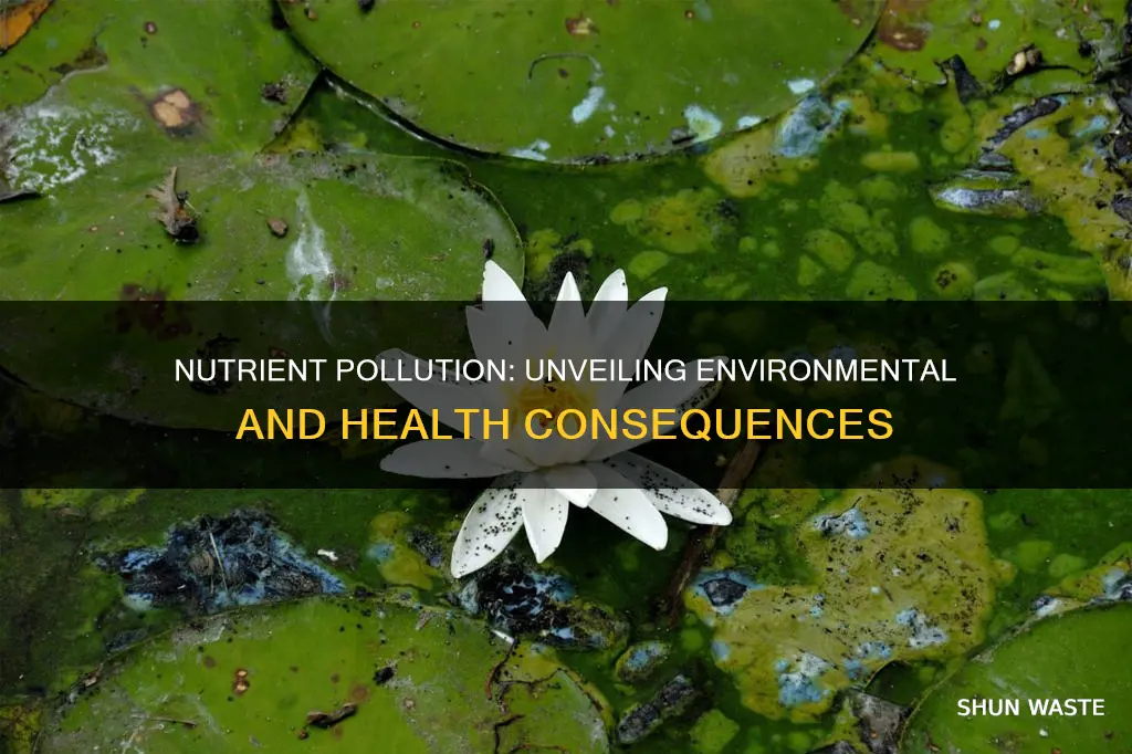 what are the consequences of nutrient water pollution