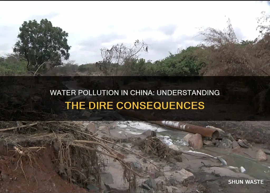 what are the consequences of water pollution in china