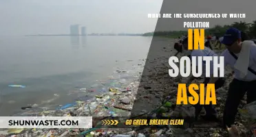 South Asia's Water Crisis: Unveiling the Devastating Impact of Pollution