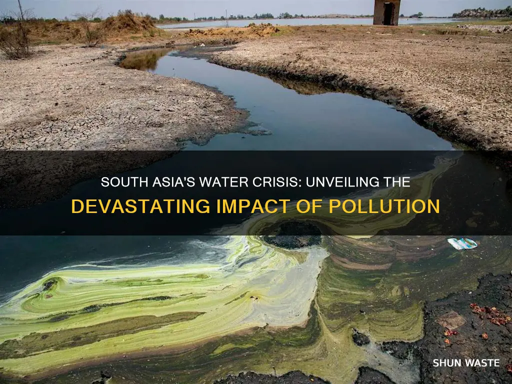 what are the consequences of water pollution in south asia