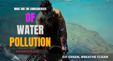 Water's Dark Side: Uncovering Pollution's Devastating Impact