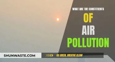 Air Pollution: Understanding Its Complex Composition