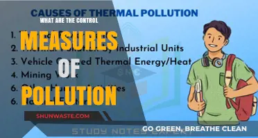 Strategies to Combat Pollution and Protect Our Planet