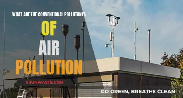 Air Pollutants: Conventional Contaminants, A Comprehensive Overview
