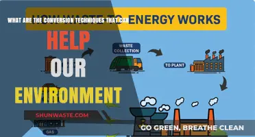 Eco-Friendly Conversion Techniques: Transforming Habits to Save Our Planet