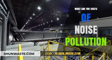Noise Pollution: The Hidden Costs Revealed