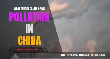 Air Pollution in China: Understanding the Main Causes