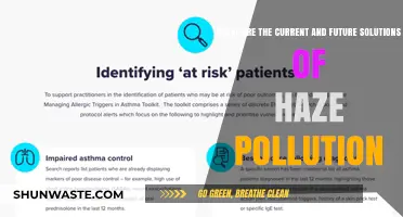 Haze Pollution: Current Fixes, Future Innovations
