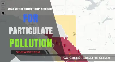 Air Quality Standards: Particulate Pollution Limits Today