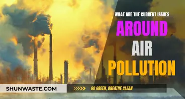 Air Pollution: Current Crisis and Challenges