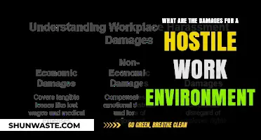Hostile Work Environment Damages: Legal Consequences and Employee Rights Explained