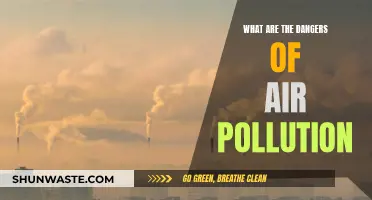 Air Pollution: A Slow, Silent Killer