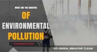 Environmental Pollution: The Hidden Dangers Revealed