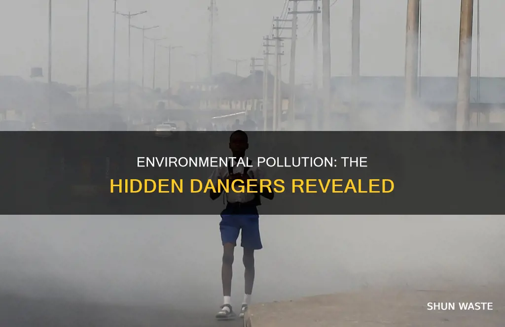 what are the dangers of environmental pollution