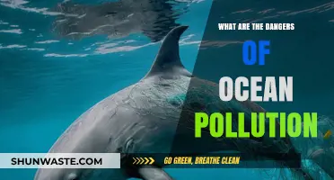 The Dark Side of Ocean Pollution