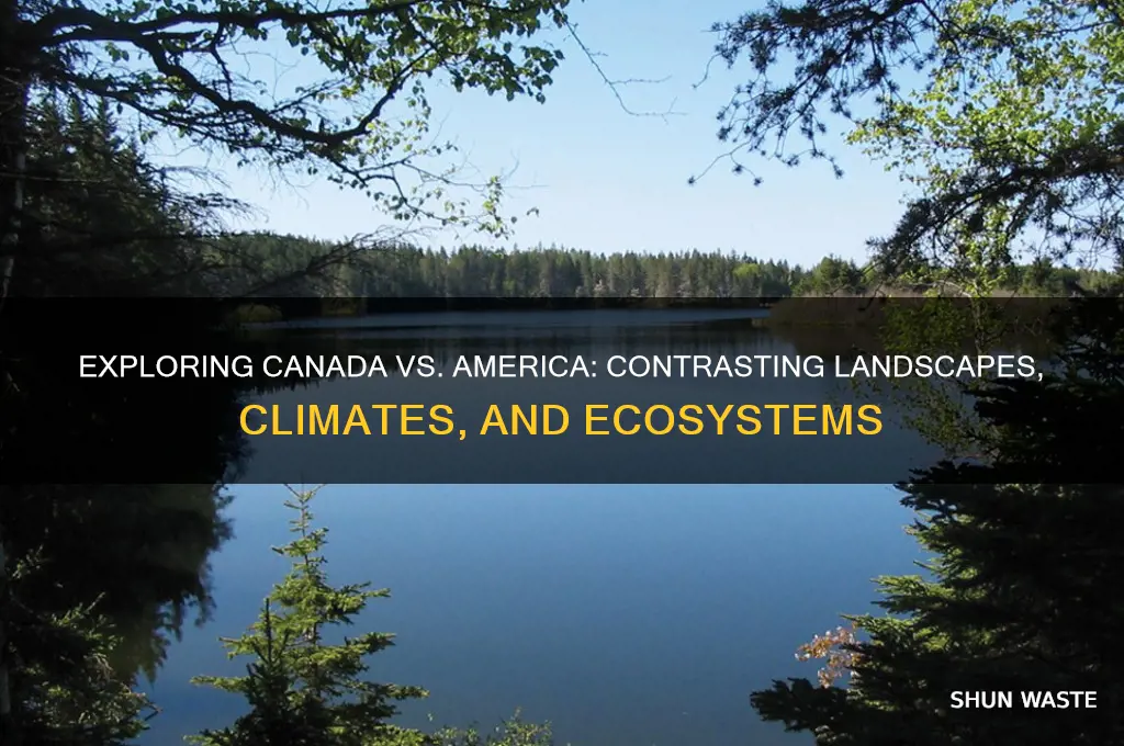 what are the differences between canada and america
