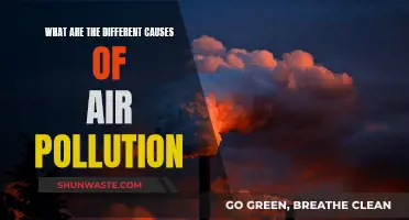 Air Pollution: Causes and Concerns