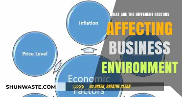 Key Factors Shaping the Dynamic Business Environment Today