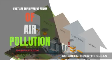 Air Pollution: Understanding Its Many Forms