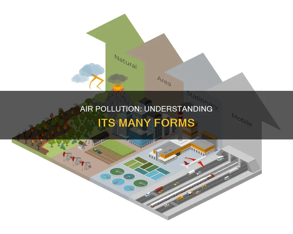 what are the different forms of air pollution