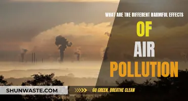 Air Pollution: Harmful Effects on Our Health