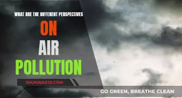Air Pollution: Diverse Views, One Problem