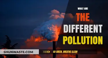 Understanding Pollution: Its Many Forms and Impact